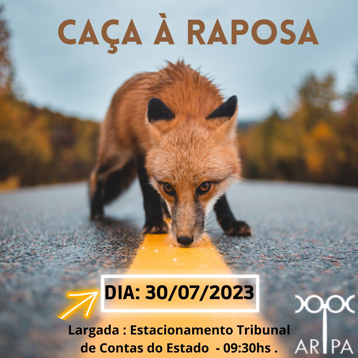 RadioOSG's tweet photo. DIVULGAÇÃO

30/07 
Fox hunt, se está por Curitiba, não deixe de participar do nosso tradicional caça raposa (localização de sinal de rádio), utilizando várias técnicas diferentes de orientação e radiolocalização.
.
#hamradio #radioamador #arpapr #labre #foxhunt #ardf #cacaraposa https://t.co/TZVe9cUCO6