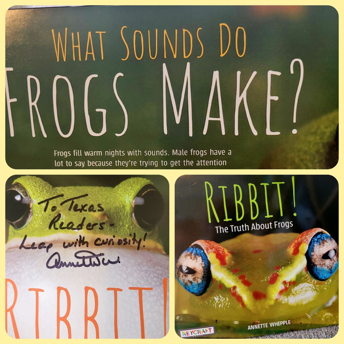 LauraPSalas's tweet photo. I wasn't *all* that interested in frogs when I started RIBBIT! THE TRUTH ABOUT FROGS. That's the gift of terrific #nonfiction--to make us care more deeply. TY, author @AnnetteWhipple , for donating a copy to a TX educator in my #mentortext session! @Region15ESC #kidlitSTEM https://t.co/5jJnrZv7MR