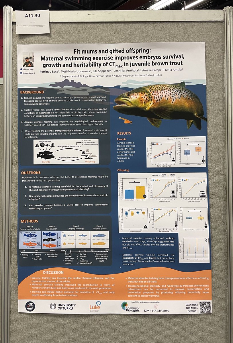 Do you want to know what is the intergenerational effects of swimming exercise training in fish?  Then  you can come to see my poster A11.30  today at 17:00 #SEBconference @AnttilaLab