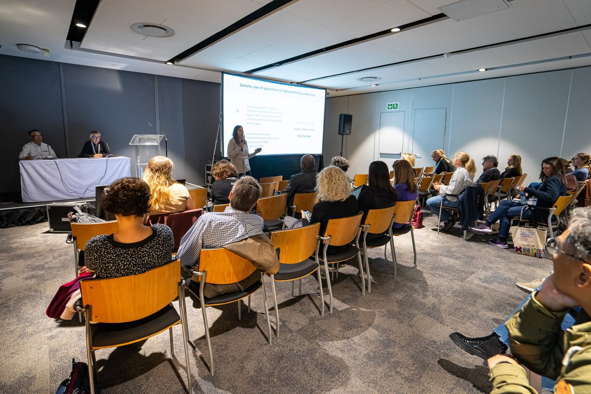 EcogenCibio's tweet photo. What a fantastic workshop from @raquelgodinho8 on #ISAG2023 πΆπ§¬ and a wonderful audience! Dog genomics, Iberian wolf genomics, hybridization, museum specimens and so much more... π #dogGenomics #IberianWolf #museomics https://t.co/xRfBLH5f5U