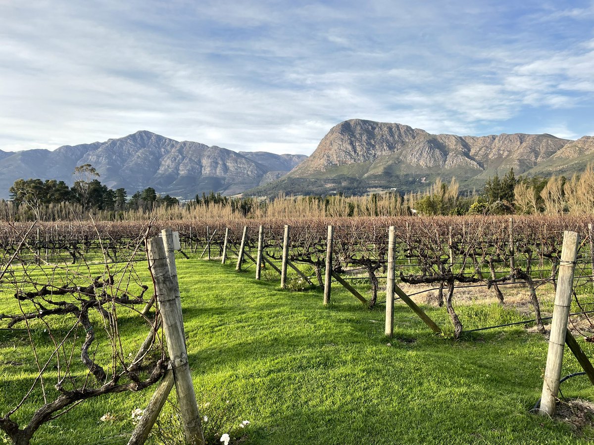 KarenGrepin's tweet image. Warming up for #ihea2023congress