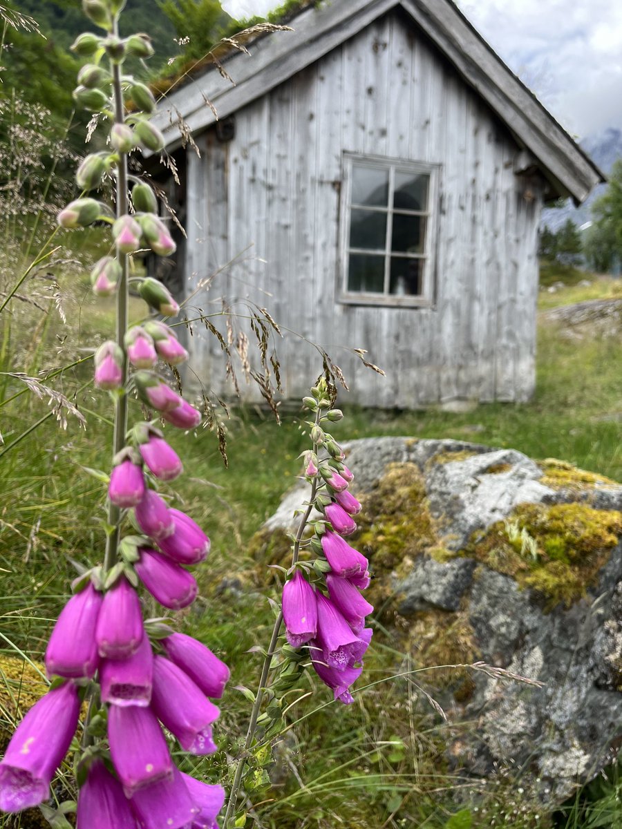 nibinguy's tweet photo. Some pics from todays hike in Olden Norway https://t.co/elZLYxuPU0