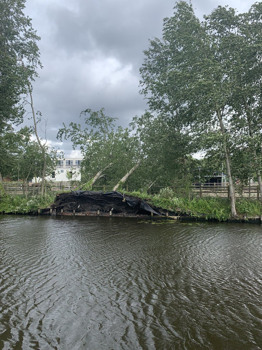 boschenvaart's tweet photo. #storm #Poly is ook in #BoschenVaart flink tekeer gegaan! https://t.co/2hIvUjmJWy