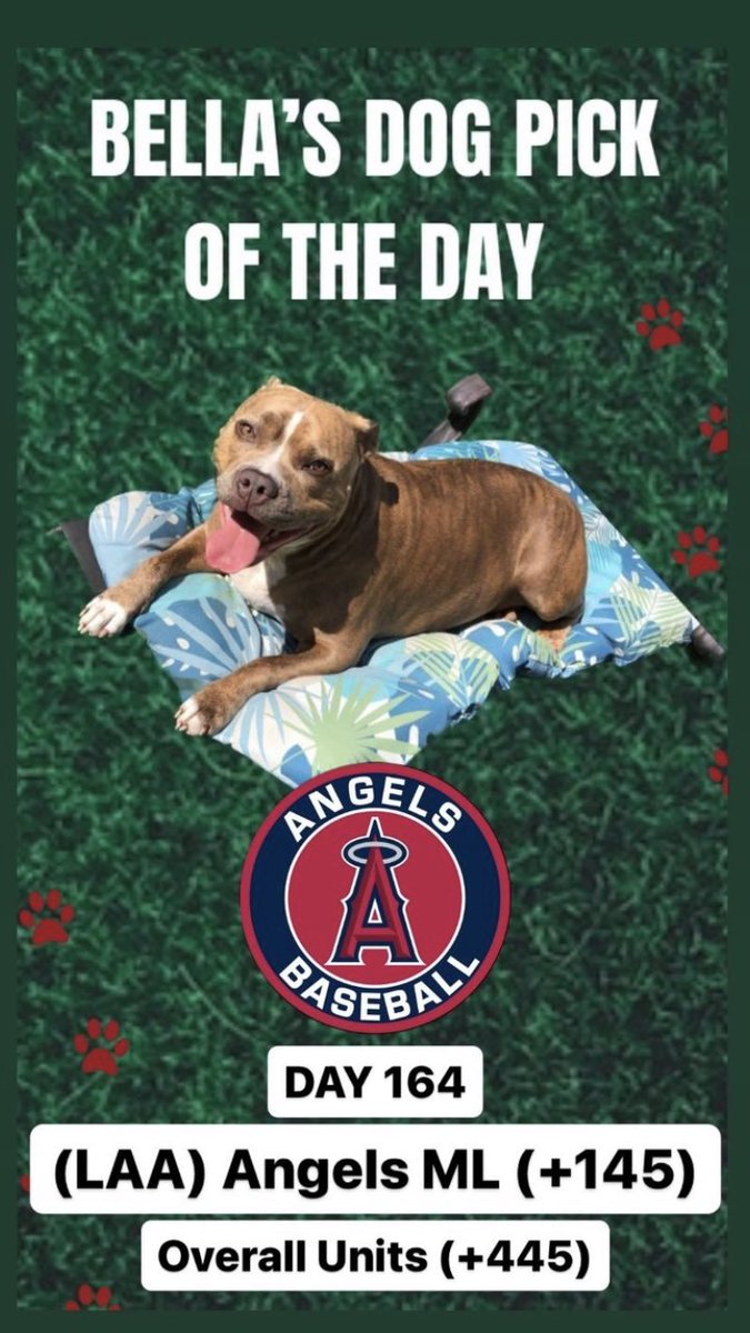 TheLocksOTD's tweet photo. 🐶BELLA'S DOG LOCK OTD🐶
‼️Overall Units +445‼️
🔥SHE IS HEATING UP🔥
⚾️(LAA) Angels ML (+145)
#MLB #MLBPicks #GamblingTwitter #Dog #Dogs #DogBets #DogPicks #Angels #LAA #LA #Moneyline #Betting #Gambling #Free #FreeBet #FreePick https://t.co/s4LsEHcPEE