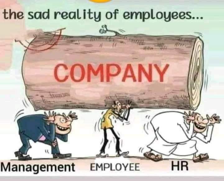 johnpre100's tweet image. 