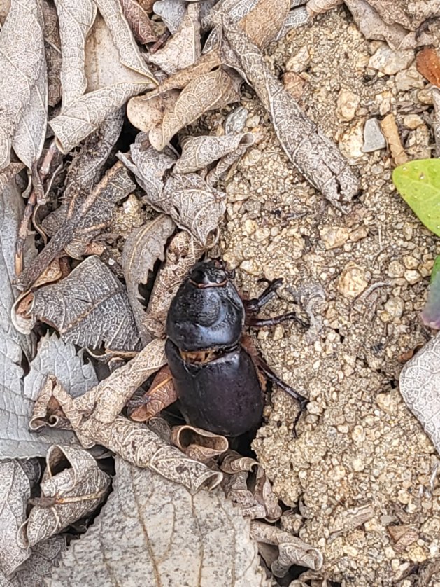 biblioteca cabrils tweet media