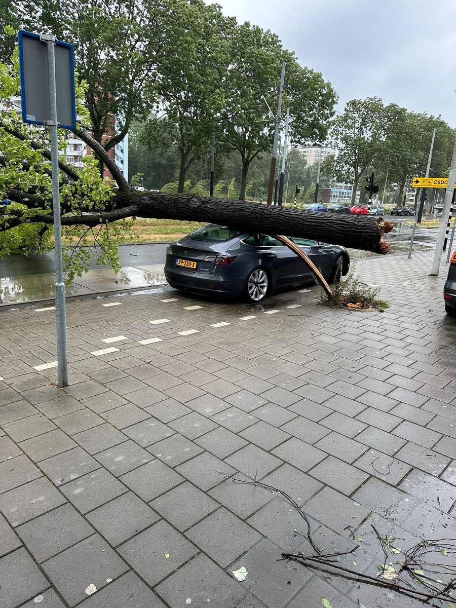 alilakrakbi's tweet photo. A friend from NL just parked his car, 2 min later he received an alarm notification in his phone, he checked sentry and found a full tree laying over his car, he was very lucky he was not inside, but he was even more impressed on the little impact on the car. @elonmusk https://t.co/6wONv6uDID