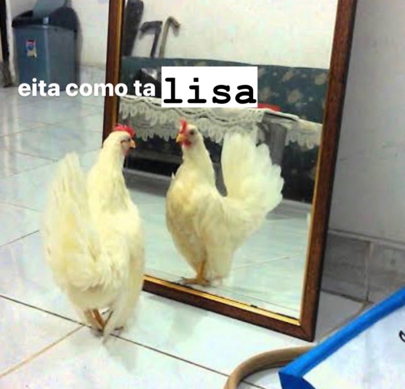 capitolinass's tweet photo. 5 de julho https://t.co/fLAyFJazy5