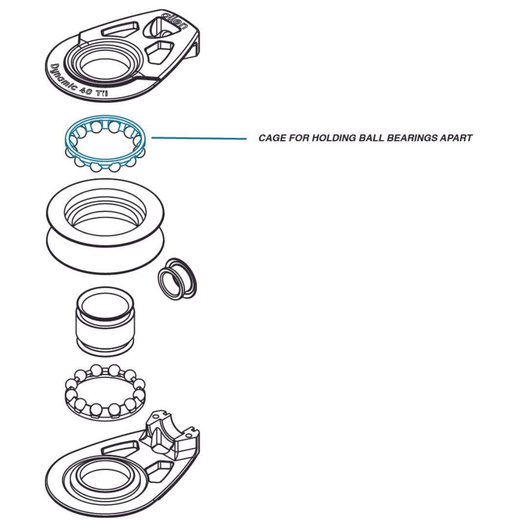 Allen Sailing tweet media