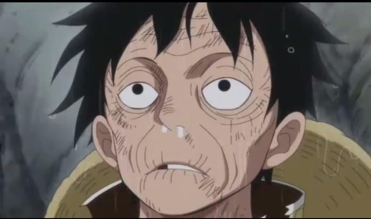 SunnygoTWT's tweet photo. Sebulan tanpa chapter baru One Piece be like https://t.co/JrkjRxr8z0
