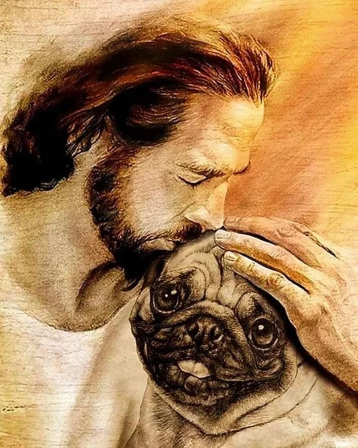AddictionPug's tweet photo. ๐๐ please retweet ๐๐๐
#pugscorner #sleepypug #darklordpug #pugsworld #seniorpug #pugmodel #puggie #pugspugspugs #puglyfe #pugchat #puglifestyle #rescuepug #dougthepug #pugsnkisses #pugsforlife #pugsmile #anotherpug #babypuggies #pugmagazine #funnypug #pugfriends #puggylove https://t.co/XdtxPw5qaR