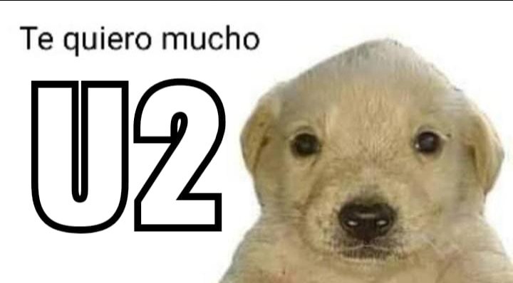 elrodroOficial's tweet image. ¡Gracias por U2, @ruleiro @elotroduarte!

#PoderosoYHúmedo