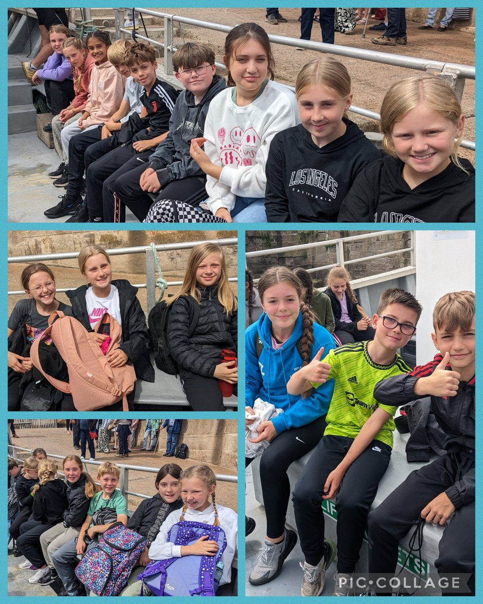 We've had a great time on the grey seal cruise! We saw plenty of seals, puffins, razor-bills and jellyfish 🪼 #copleyresidential #copleyopportunity