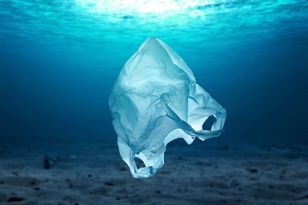 CalleoHealth's tweet photo. Our health is dependent on the health of our planet. It is not just about the air we breathe or the water we drink, but also about the ecosystems that support us. https://t.co/b4BIVF0ILF