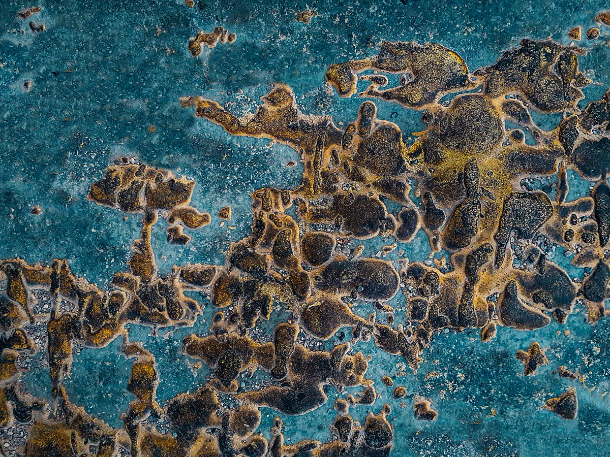 ismailk88687558's tweet photo. @ardavan_ Good evening.. :)
My photography is the search for the abstract painting in nature. The difference between seeing and looking..   
"Missing what we look at"

https://t.co/rSJXjHtV7B https://t.co/PpSlIQeqF5