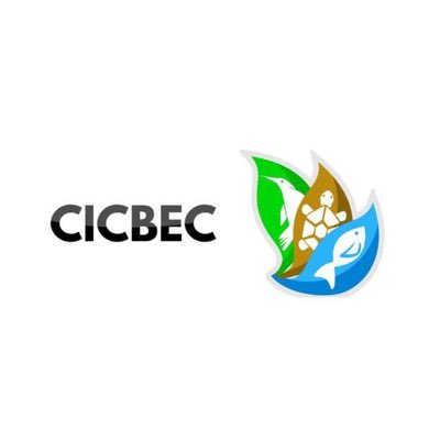 CICBEC1's tweet photo. #NuevaFotoDePerfil https://t.co/SvIXQmw08H