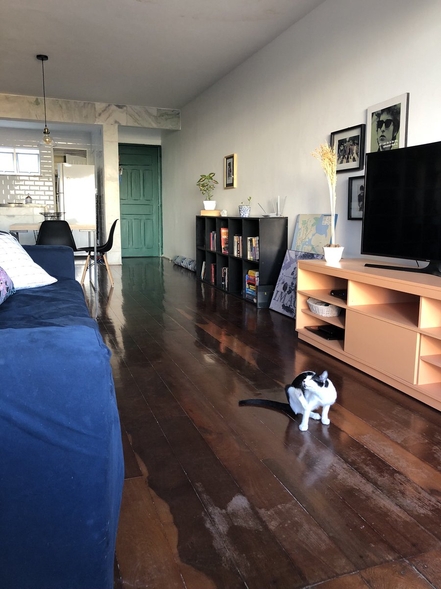 sorawho's tweet photo. ✨Ei, temos um apartamento bonito demais à venda!✨

256m2 com 3 quartos, 4 banheiros, terraço, piscina e a cozinha mais bonita que já vi por R$ 400 mil na Aldeota (Fortaleza). 🤍  

Ajuda a gente a circular esse Tweet? 🫂 https://t.co/mVDvaZfKaj