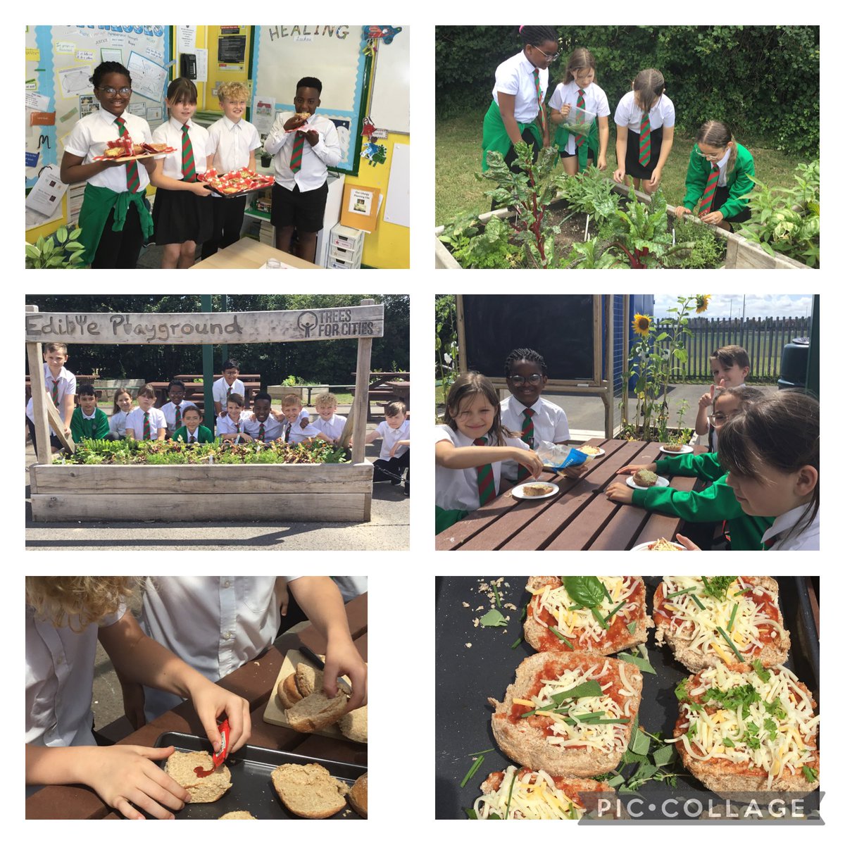 SJLCARDIFF's tweet photo. Miss Samuelโs class harvested herbs this afternoon and created tasty pizzas. We chose combinations of basil, thyme, sage, parsley and chives to enhance our culinary creations. They were so delicious! #edibleplaygrounds #garddllawnbwyd โฆ@TreesforCitiesโฉ โฆ@GrowCardiffโฉ https://t.co/zVcc2xG6Yu