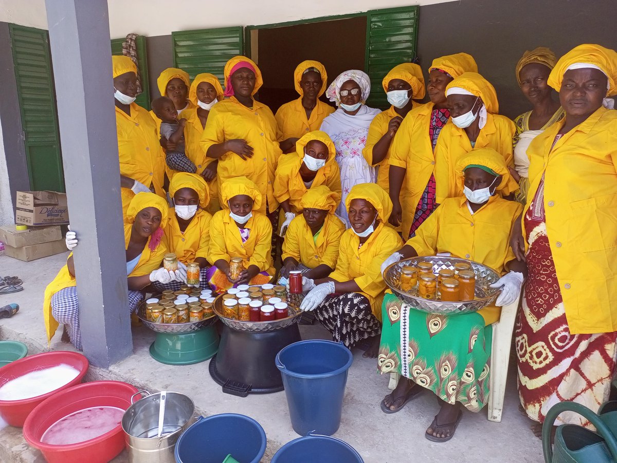 La #agroecologia es clave para garantizar la #SeguridadAlimentaria. Las prácticas agrícolas que protegen el #medioambiente y promueven la #biodiversidad, aseguran la disponibilidad de alimentos saludables y nutritivos.
#coopercionfeminista
Lee más en 👇
acpp.com/wp.../uploads/…