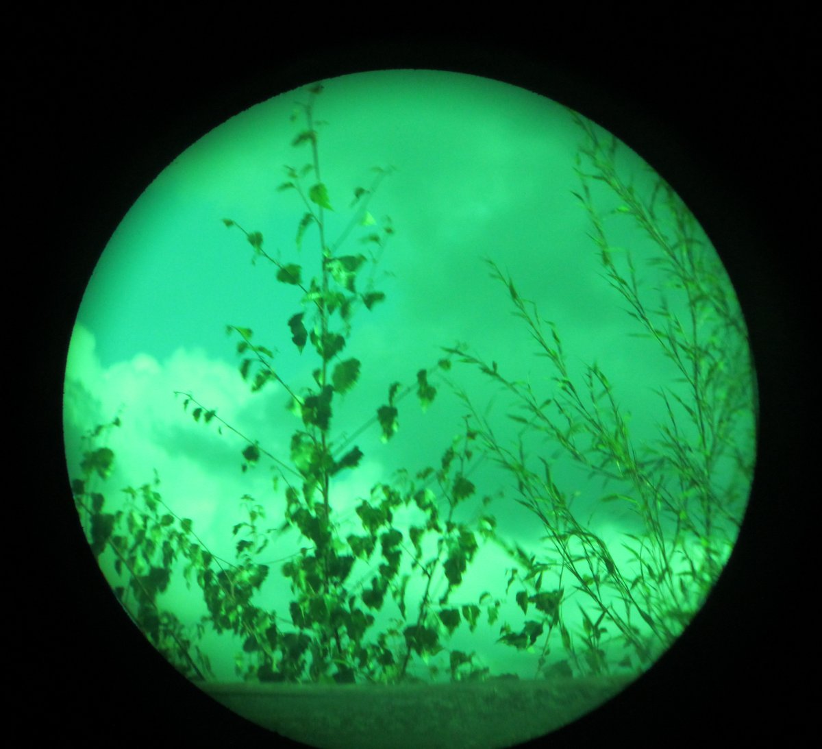 Hyalus: (green) glass

View through Barr & Stroud CF41 military binoculars with their green filter (used for contrast of a grey ship against blue sky or sea)

#365in2023 #365in2023dailyprompt @365_in_2023