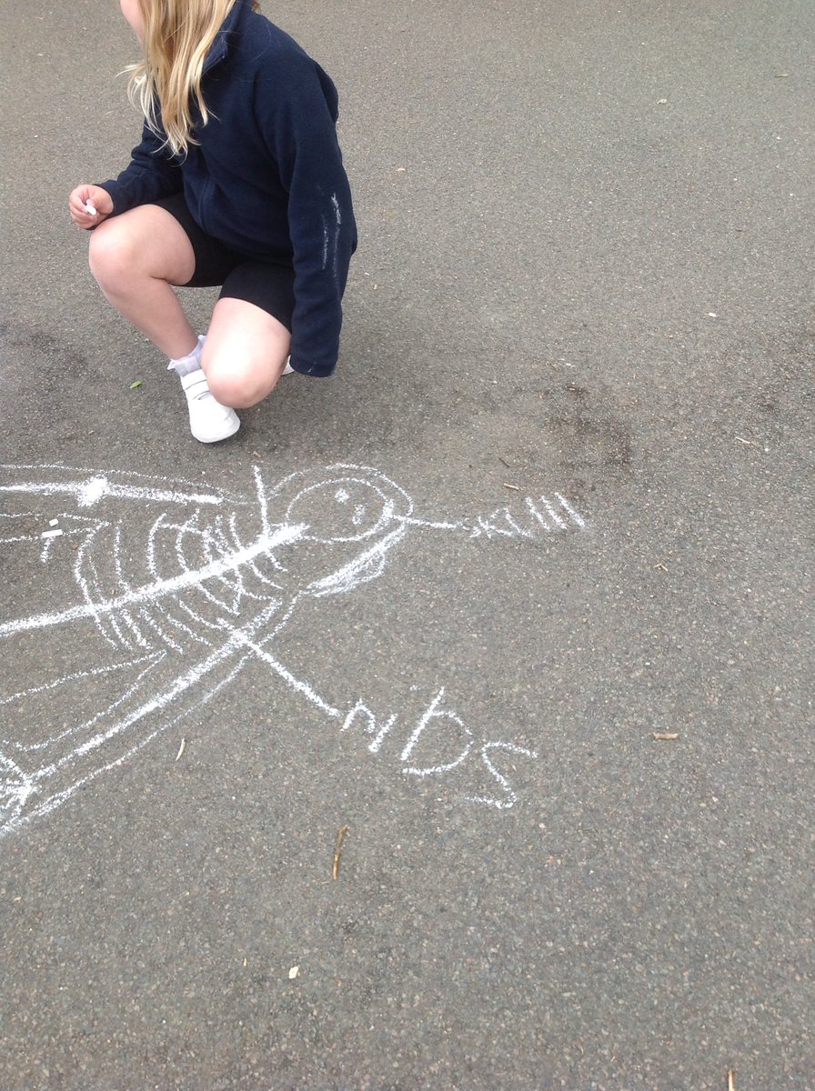 We were learning about the function of the human skeleton today, as well as learning some of the names of bones. We took our learning outside and tried our best to draw a Skelton using chalk! #GBS4science