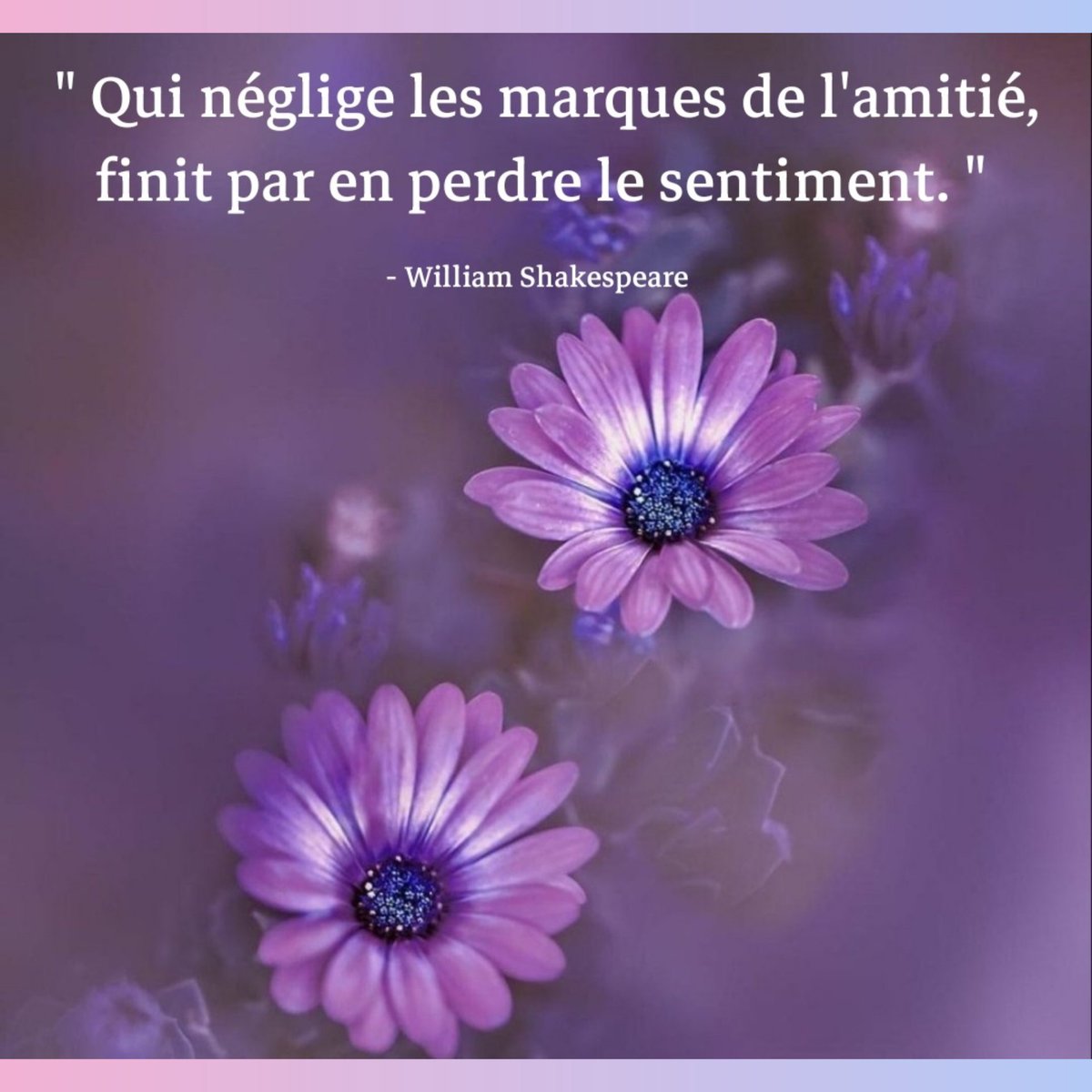 RoyaumeMots's tweet photo. #citation #quote https://t.co/LP653eaKRA