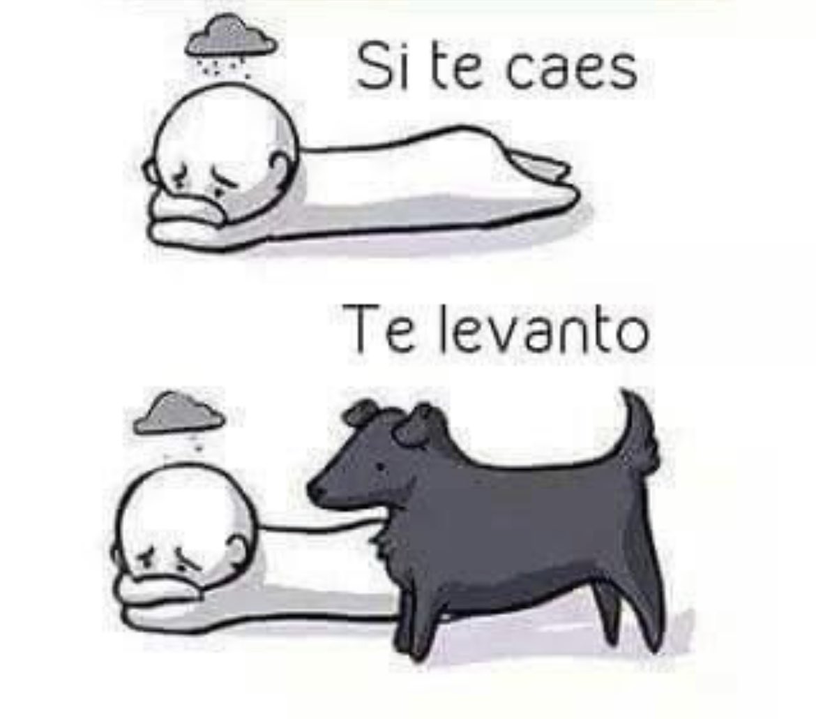 DiloConPerritos's tweet photo. Gracias por acompañarme en mis momentos más difíciles. https://t.co/2ydNqdrJ5y