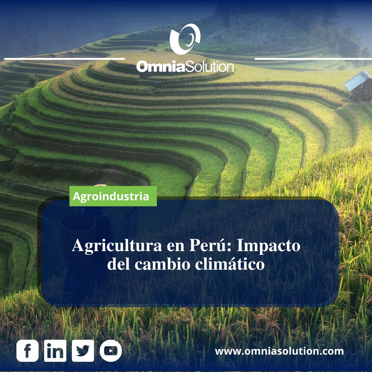 osolutionsac's tweet image. 📢 🌎 [Agroindustria] Es fundamental que se promueva la inversión en tecnología agrícola y se facilite el acceso de los agricultores a estas herramientas.

👉 ¿Desea conocer más?, visite nuestro blog aquí lnkd.in/eX9hJQGy

#OmniaSolution #noticia #Perú #technology #agro