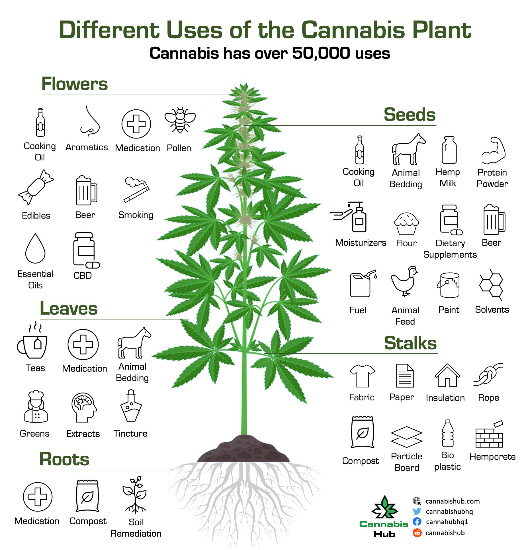 Marijuana Leaves Chart