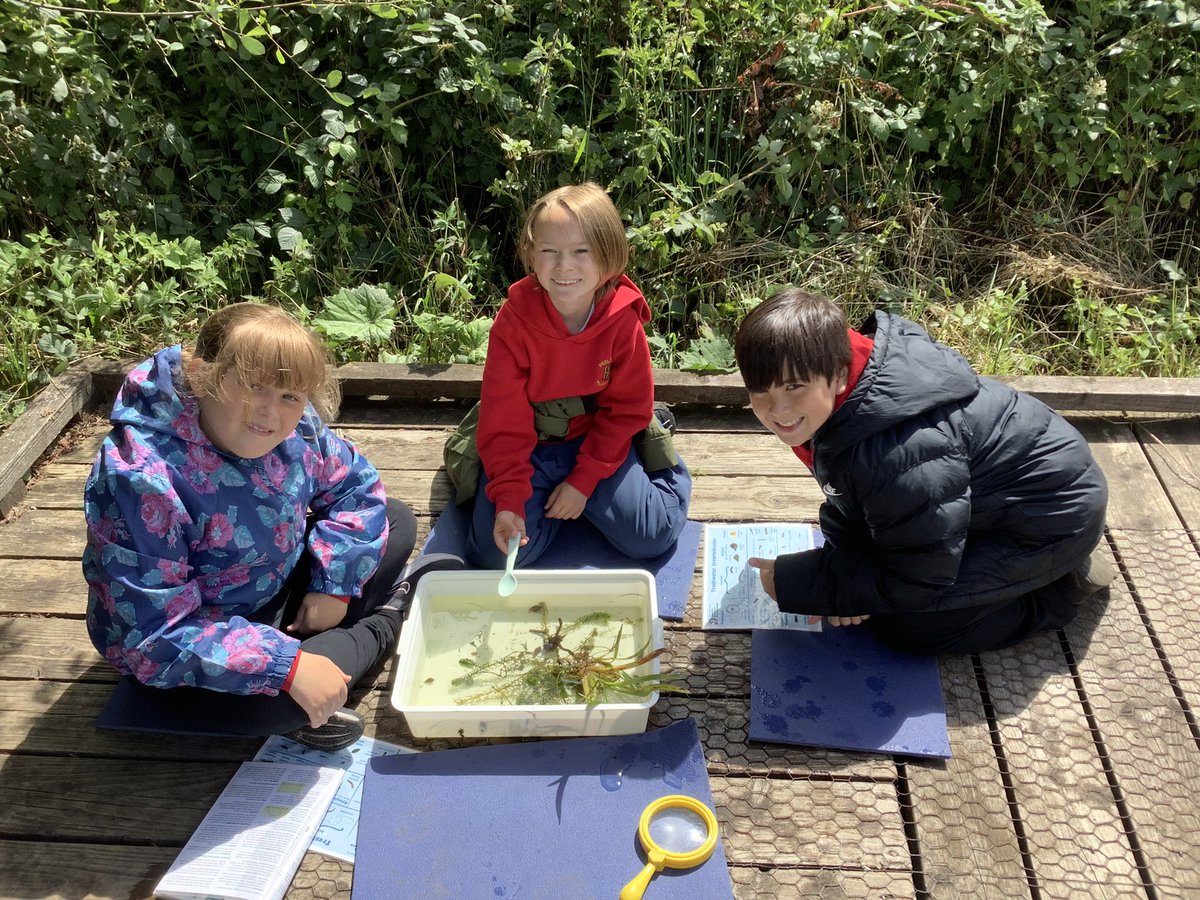 pp_accrington's tweet image. A wonderful day was had by all at Brockholes #class14 #brockholes