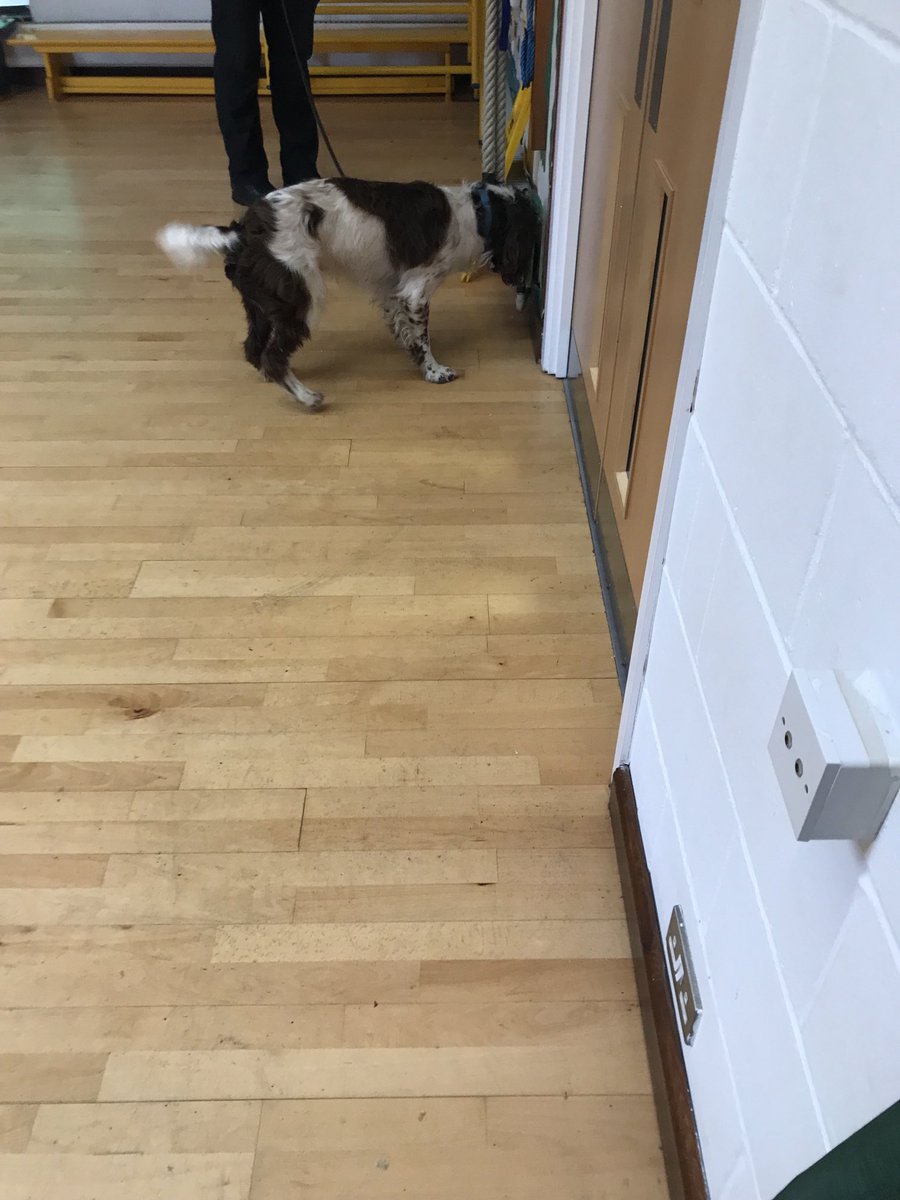 Clever Doc helped the children to find Mrs Farmer’s lost money! Thank you to Doc and her handler who showed us how clever police dogs are and how they can help us ⁦<a href="/metpoliceuk/">Metropolitan Police</a>⁩