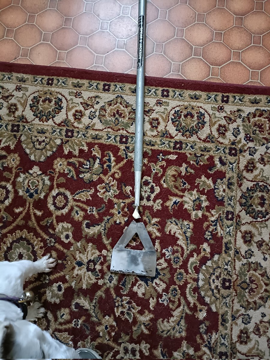 Mark Watson tweet media