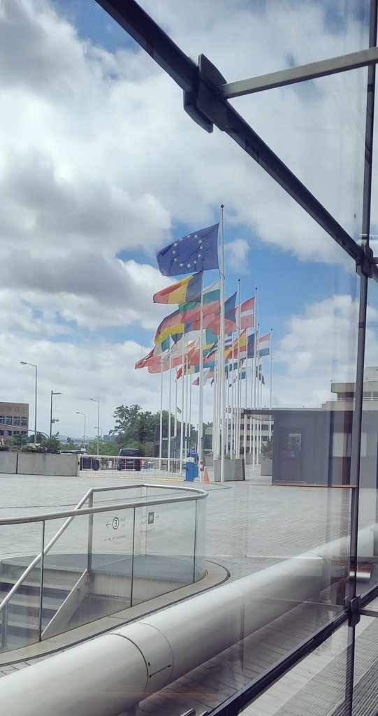 Andrea Limone tweet media