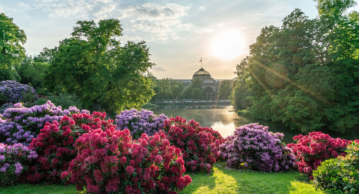 #ontour 😎 @Sinfonica_mi giunta in Germania per esibirsi al @rheingaumusik sotto la direzione di Claus Peter Flor. 📌6 luglio - Requiem di #Verdi nell'abbazia di Eberbach bit.ly/3Nz56Bg 📌7 luglio - Parco Termale di Wiesbaden con un Gala d'Opera bit.ly/44rRRsJ