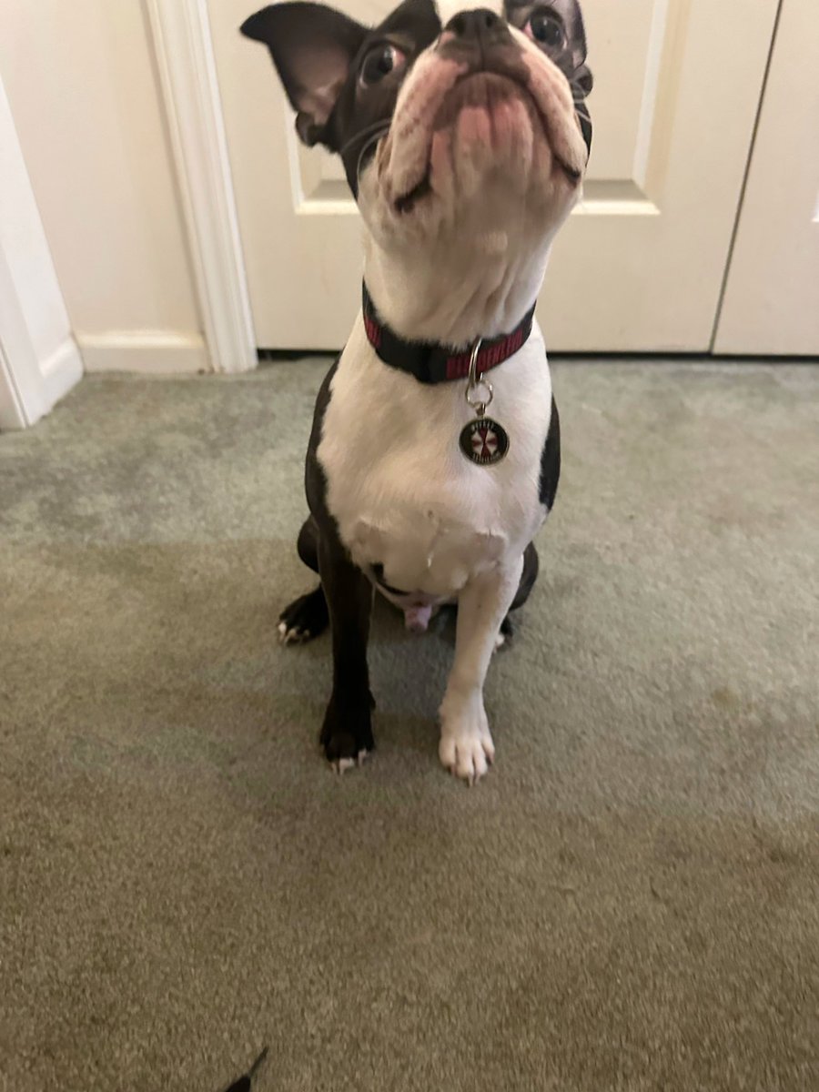 WeskertheBoston's tweet photo. https://t.co/FBkRLCSEkz