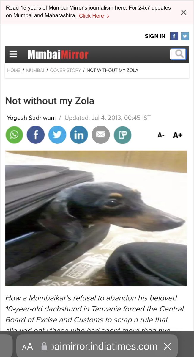 tarana2510's tweet photo. @DentonMarsden @dan710ths @HappyHoppings @apparrnnaa @Lin11W @julie_dutto @_AnimalAdvocate @RobRobbEdwards @madhvithakurr @rachitav22 “NotWithout My Zola”
When you CareEnough&
TryEnough,
TheUniverseResponds
ThankYou Zola,Chinny Krishna & @Manekagandhibjp
CC @PhaedraXTeddy @ECOAlphaTango @EevaPaavilainen @Riz_wank @avc_201 @RituRi987tu @JulieTaylorfai1 @aspathak02 @jaina111 @JatinPaul
https://t.co/mrP3DtlLyy https://t.co/GCjBoPiQBe