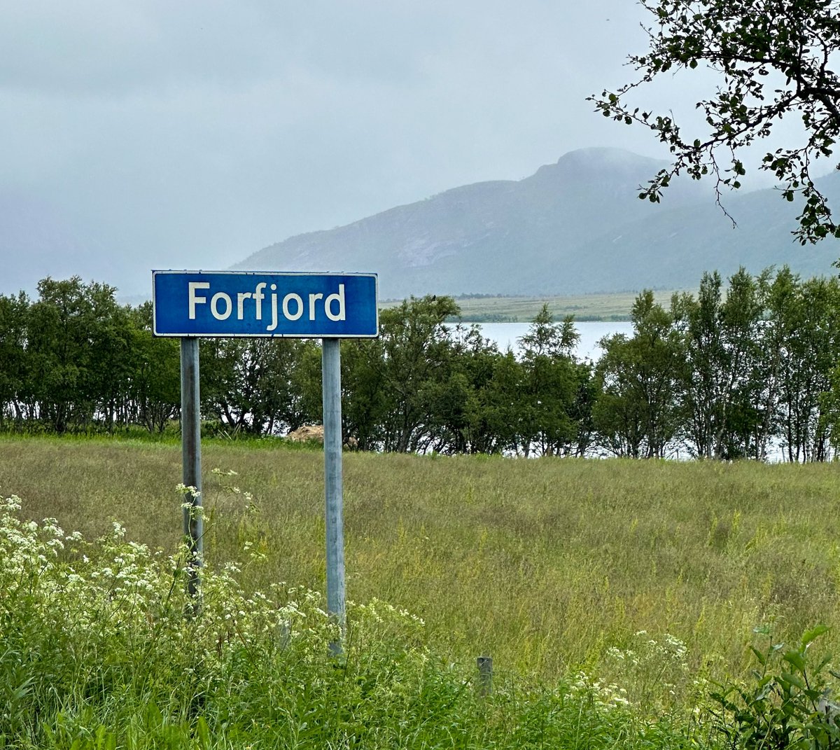 To år siden sist jeg var her.