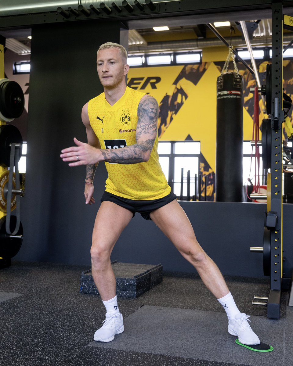 BlackYellow's tweet photo. Marco is back 😍 https://t.co/V2W35qsxzW