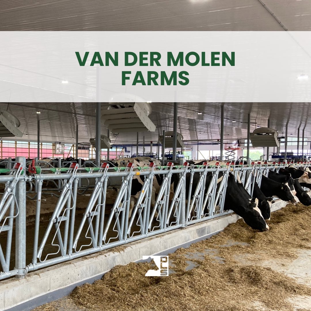 dairylanesystem's tweet photo. Van der Molen’s moved into their new dairy barn a couple weeks ago. This barn features Jourdain stabling, VES neutral pressure ventilation system and Houle manure equipment.
#DLSdairy #dairy #dairyfarmer #milk #milking #agriculture #ontag #Jourdain #vesartex #geafarming https://t.co/EU6v4xeghn