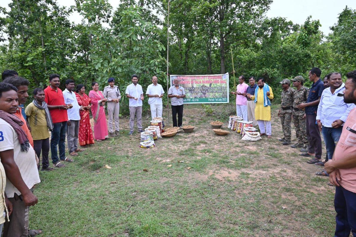 SAVE ELEPHANT FOUNDATION TRUST tweet media