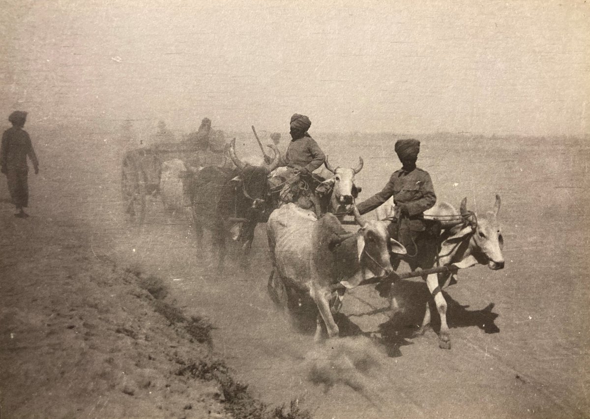 To celebrate our upcoming exhibition, this is one of the #PhotosFromTheArchive that will be on display.

Sadly we know very little about the photograph, but it dates from the 1890s, and shows soldiers of an Indian regiment driving a 'waggon' possibly in Chitral.