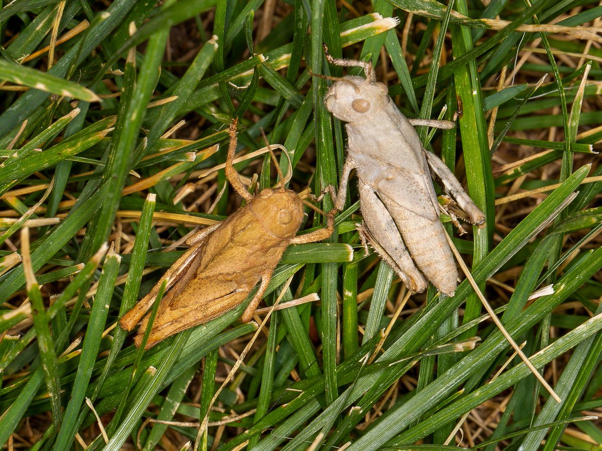 Dan Johnson tweet media