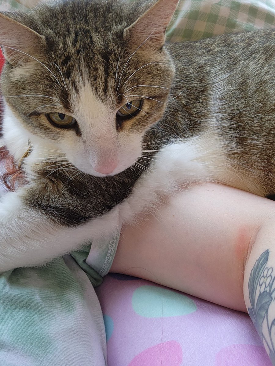 getting out of bed? not on my watch!!