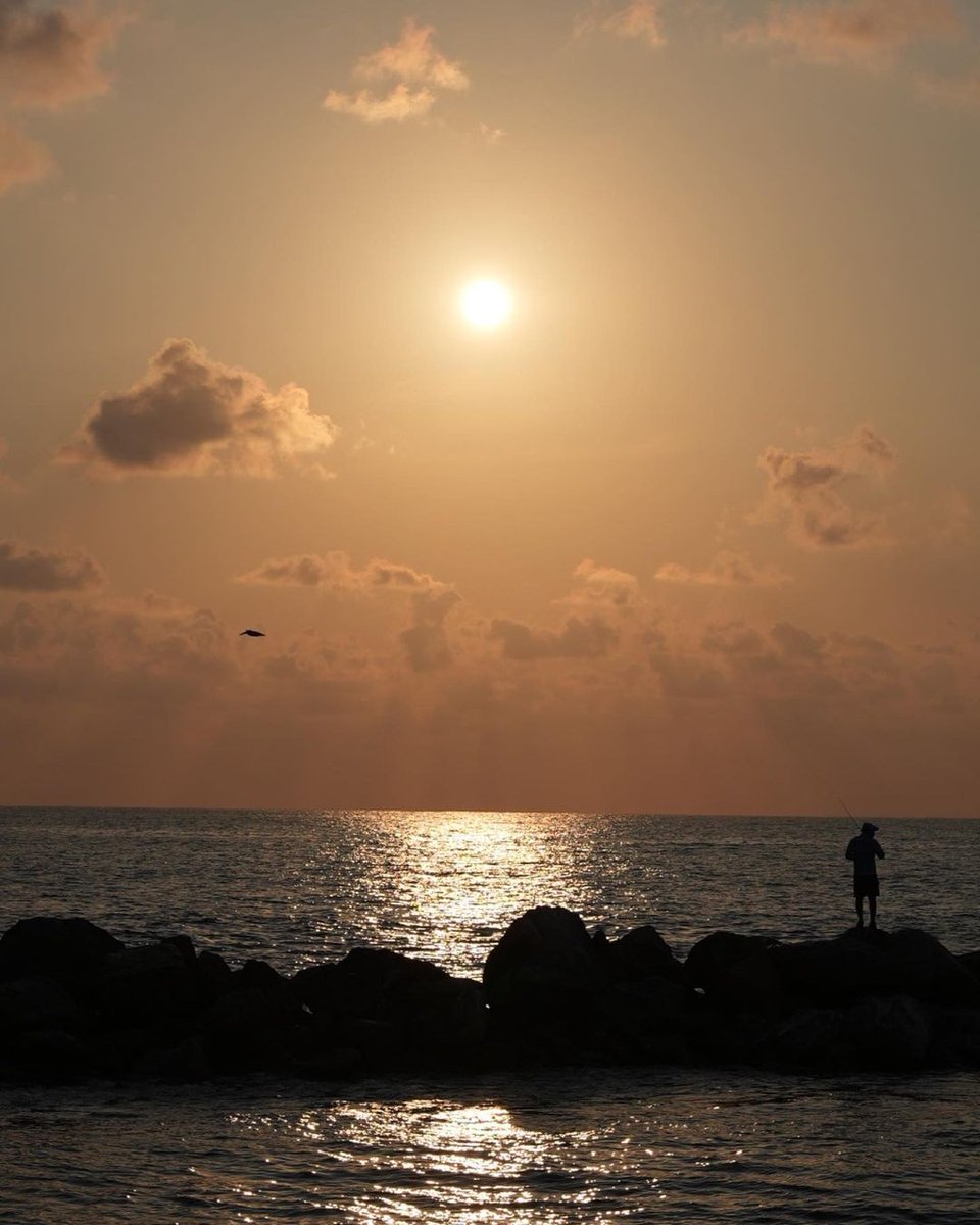 La vida es mejor en bikini y con los pies tocando la arena de #IxtapaZihuatanejo

📸 newguyen_23

#thisIZit #VisitIZ #PuebloMágico #VacationModeOn #OceanLove #SunsetVibes #SummerEscape #relax #PlayasGuerrero #VisitMexico