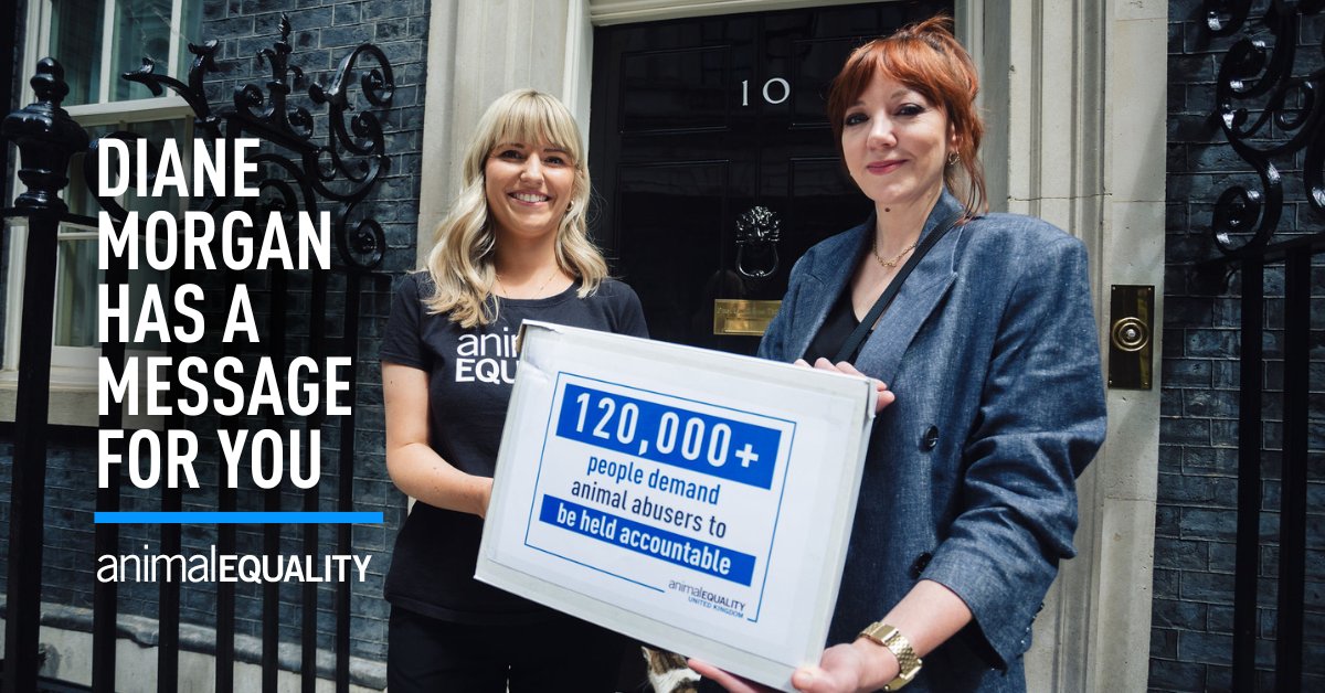 Animal Equality UK (@animal_equality) on Twitter photo British comedian <a href="/missdianemorgan/">Diane Morgan</a> has an important message for you about animals that need your help ✍️ Will you read it? 👀 Check it out here 👇
bit.ly/3PKM8dE British comedian <a href="/missdianemorgan/">Diane Morgan</a> has an important message for you about animals that need your help ✍️ Will you read it? 👀 Check it out here 👇
bit.ly/3PKM8dE