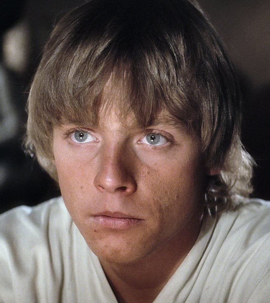 luke skywalker archive 🍉 (@i2lukee) on Twitter photo 