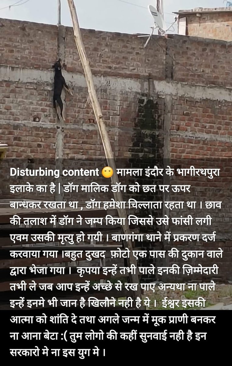 sood_shaily's tweet photo. @SwachhIndore
Dog Rule Notification 2023 के पृष्ठ ३९ भाग दो खंड ३ (i) item ३(iv) अनुसार monitoring committee को समय समय पर पालतू श्वानो को पालने के लिए guideline जारी करनी थी।
पूरे देश तो छोडिए इंदौर में कहीं देखा है ऐसी कोई guideline का पालन होते हुए ?
#LetsDogitizeIndia https://t.co/g7hcmFPiGZ