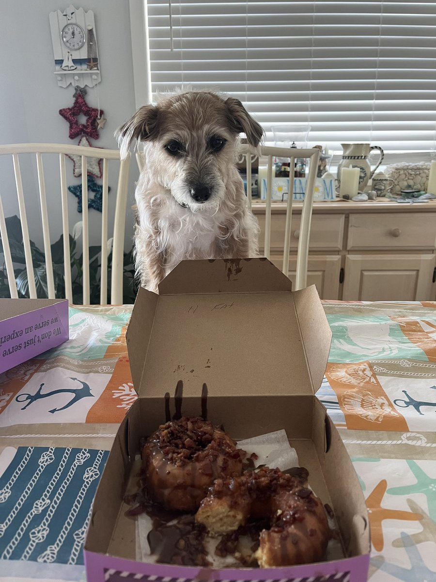 Mrs Annamaria Guille tweet media