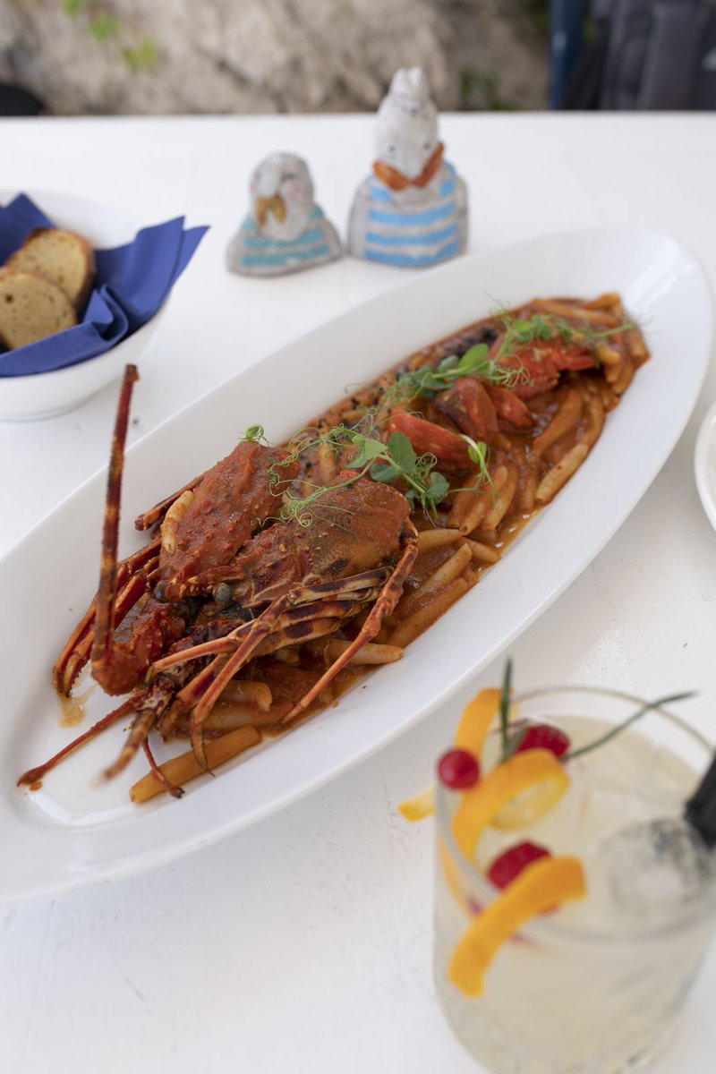 domagojsever's tweet image. #lito