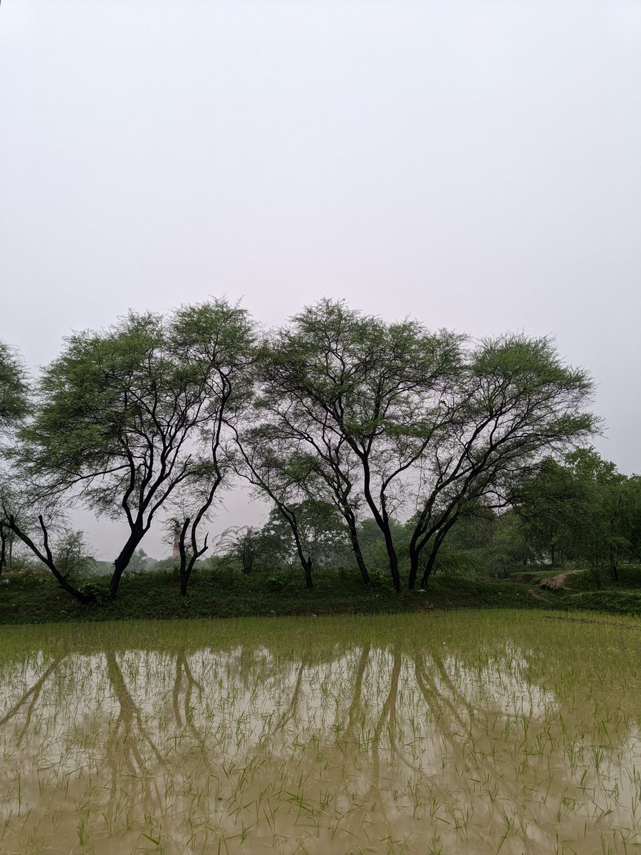 horizontallllll's tweet photo. Rainy evening https://t.co/HVBuEFUums